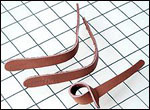 Leather Leashes for Snap Shackles